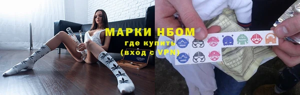 сатива Балахна