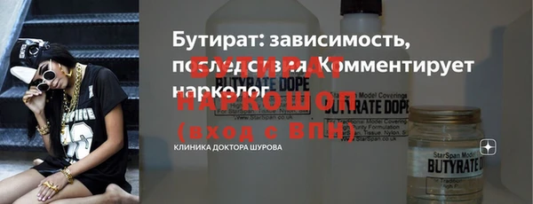 сатива Балахна