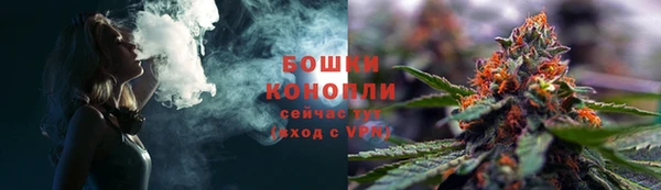 сатива Балахна