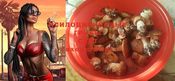 сатива Балахна